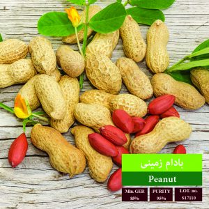 اضافه شده توسط <br> هدیه