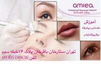 مرکز میکروپیگمنتیشن و میکرونیدلی ...