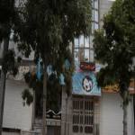 باشگاه فرهنگی ورزشی سلطانی