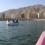 دریاچه مصنوعی شهدای خلیج فارس -  ...