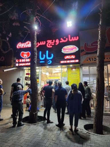 ساندویچ سرد پایا