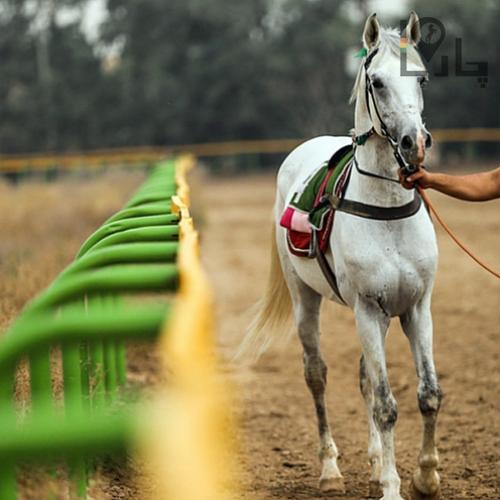 باشگاه سوارکاری سوران