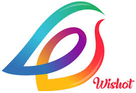 شرکت نرم افزاری ویشات