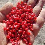 فروشگاه کشاورزی دهقان