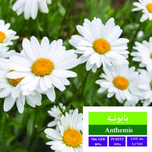 اضافه شده توسط <br> هدیه