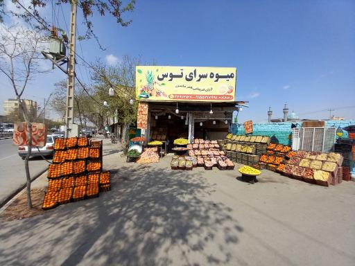 میوه سرای توس