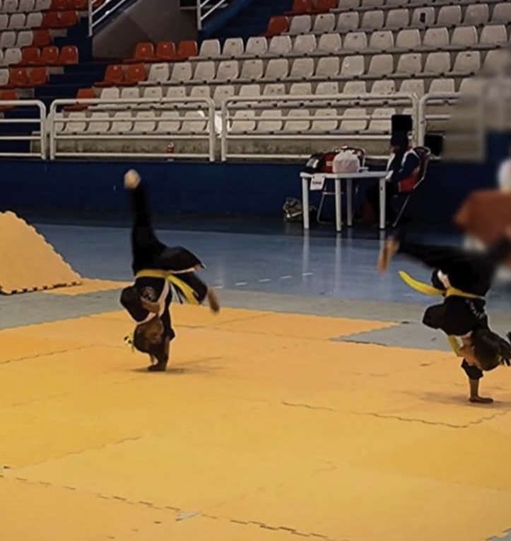 باشگاه ورزشی نوین