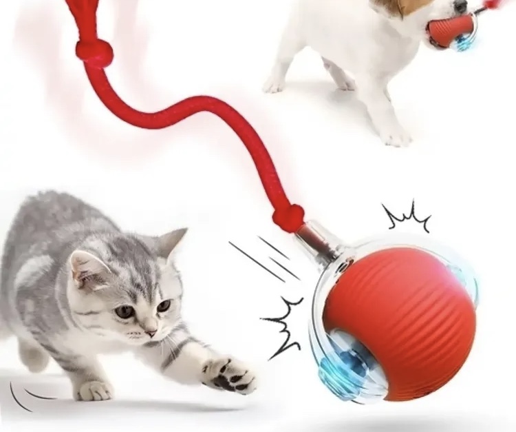 پت شاپ آبان