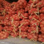 میوه و تره بار هیمن وهابی