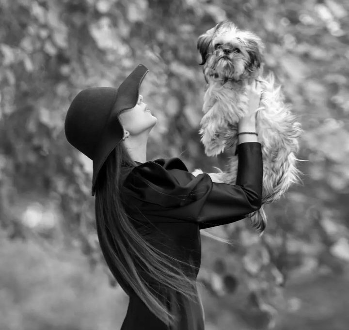 استودیو ریس