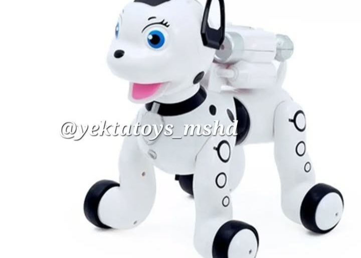 اسباب بازی یکتاتویز