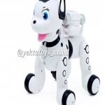 اسباب بازی یکتاتویز