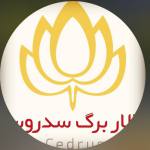 تالار برگ سدروس