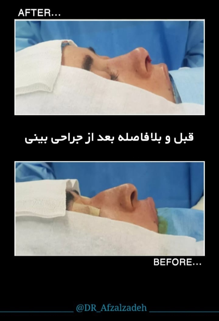 دکتر محمدرضا افضل زاده