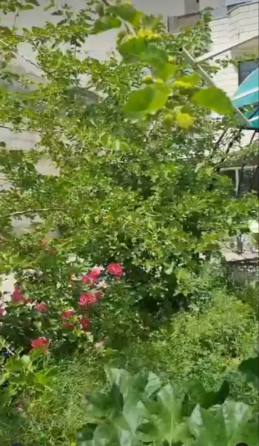 خانه سالمندان امام رضا