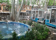 رستوران سنتی آبشار