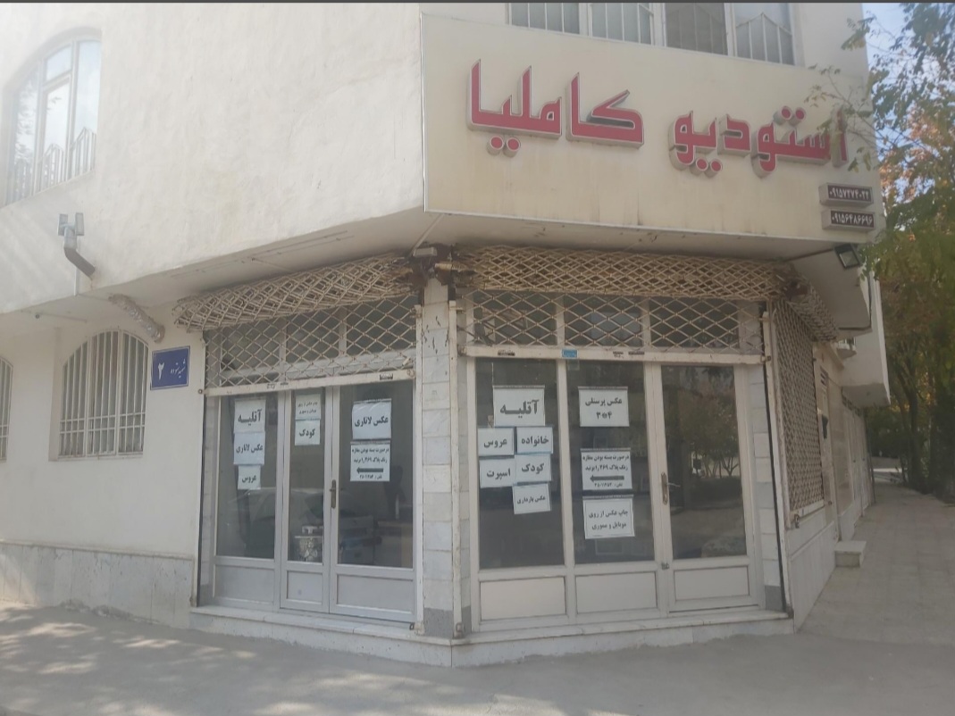 استودیو کاملیا