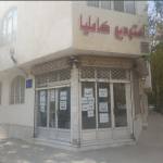 استودیو کاملیا