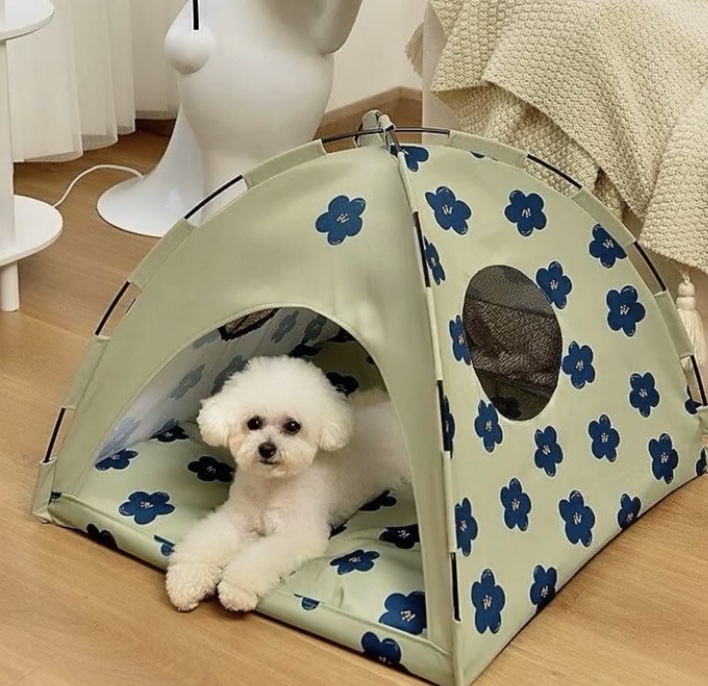 پت شاپ فوکا