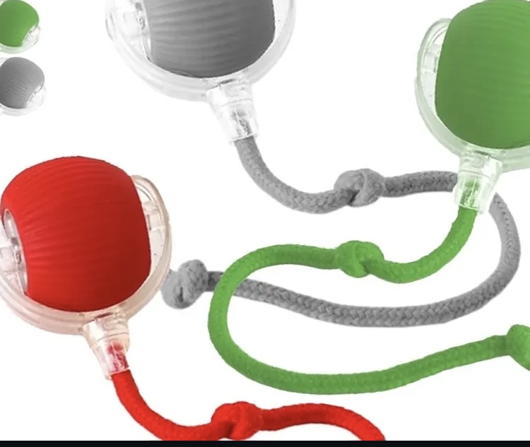 پت شاپ آبان