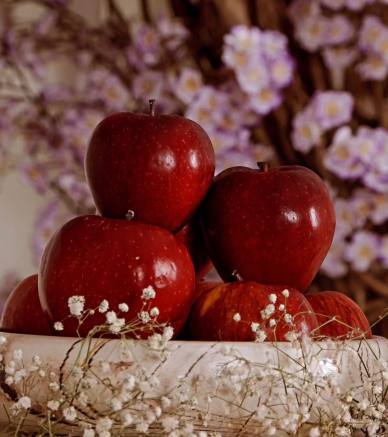 آتلیه سوبرا