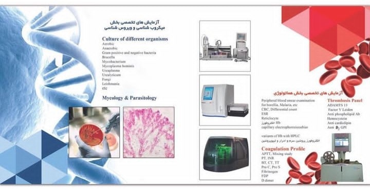 اضافه شده توسط <br> امیر