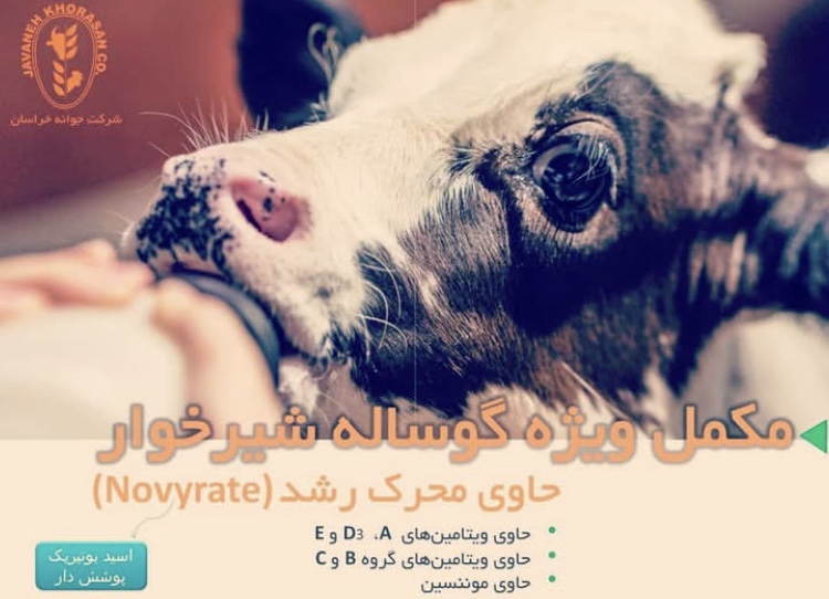 کارخانه جوانه خراسان