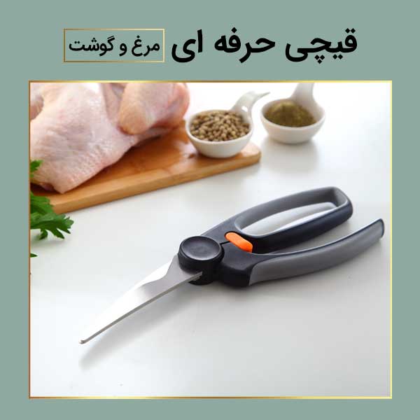 اضافه شده توسط <br> امیر