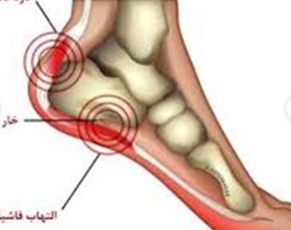 اضافه شده توسط <br> فاطمه