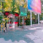 رستوران جنگل