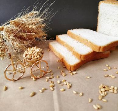 نان فانتزی شه نان