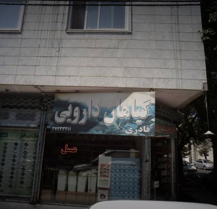 گیاهان دارویی قادری