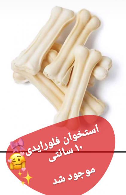 پت شاپ حامی