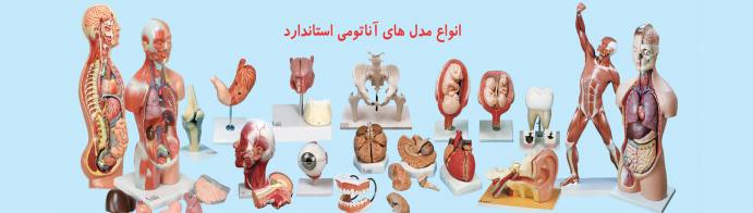 تجهیزات پزشکی لبو
