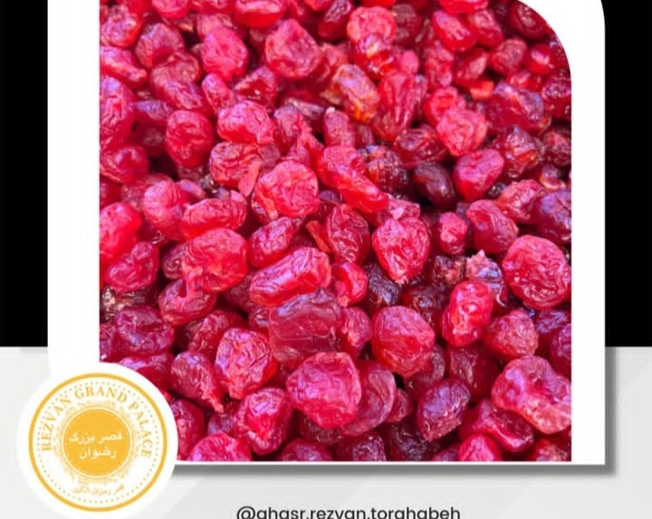 آجیل و خشکبار قصر رضوان