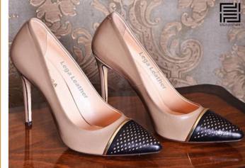 کیف و کفش چرم لگا