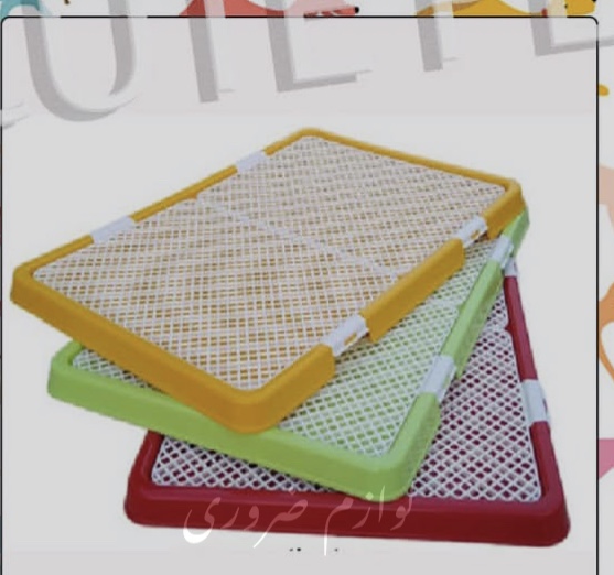 پت شاپ کیوت پت