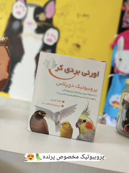 پت شاپ کانگورو