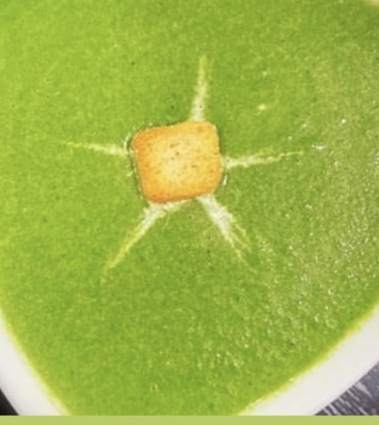 مدیر آموزشی مریم اسفندیاری پور