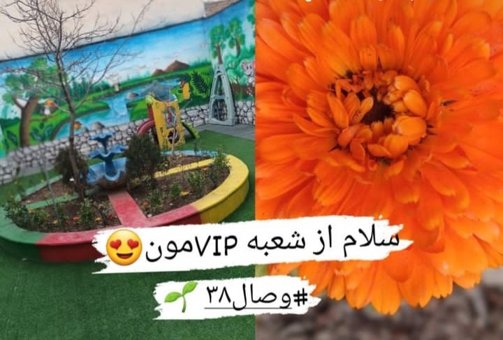 مهد کودک وصال (شعبه VIP)