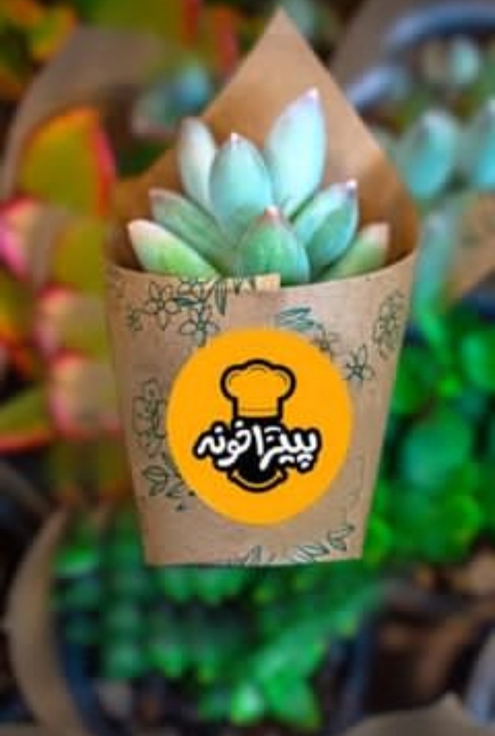 پیتزا خونه (سیدرضی)