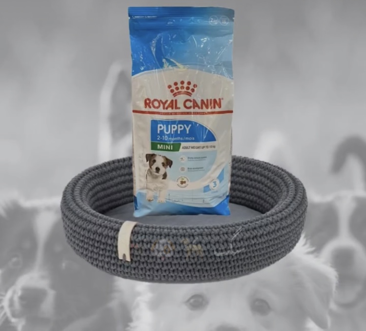 پت شاپ میچکا