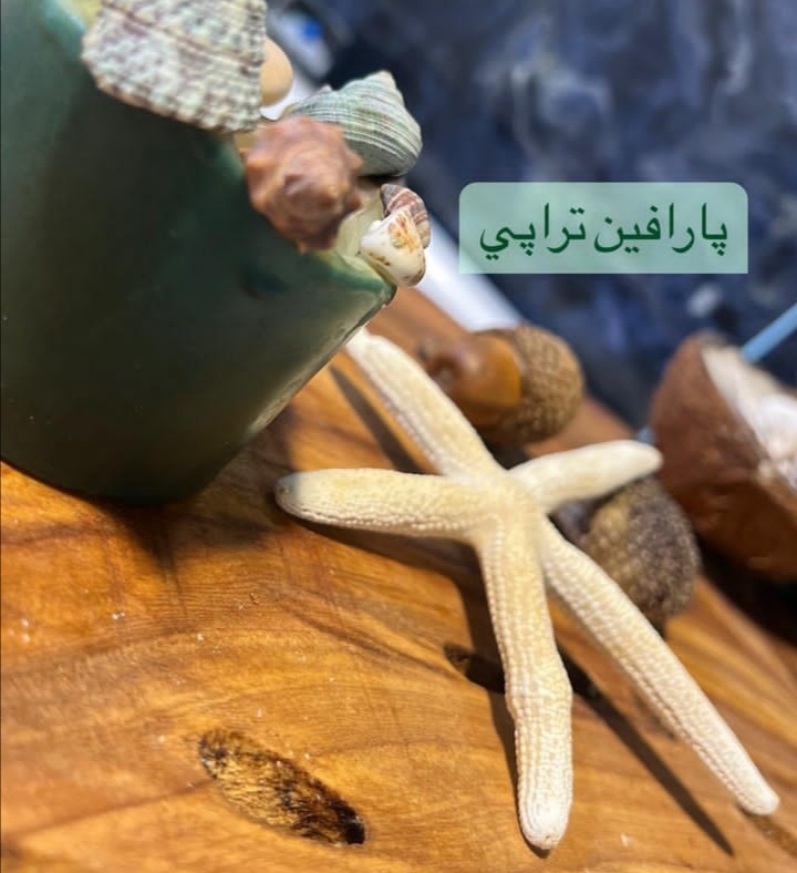 اضافه شده توسط <br> حانیه