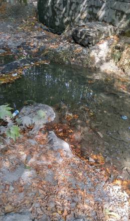 رستوران جزیره