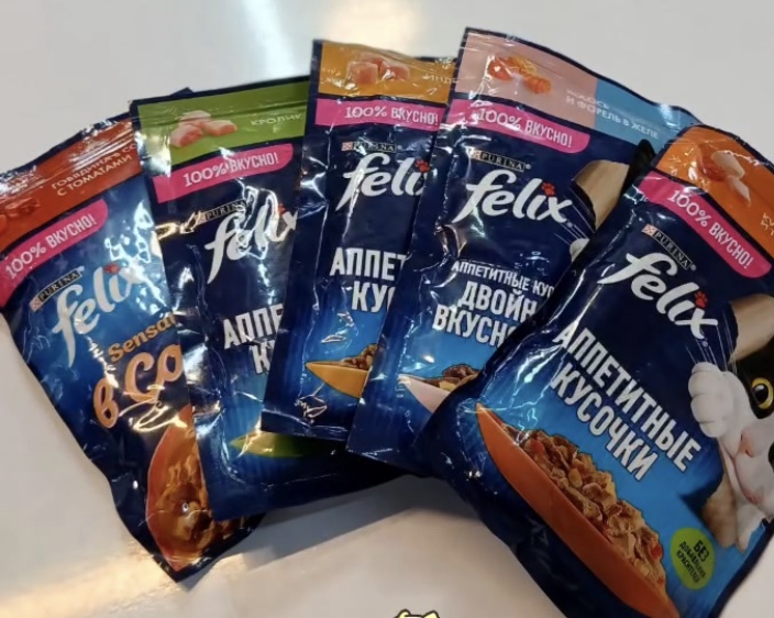 پت شاپ میچکا