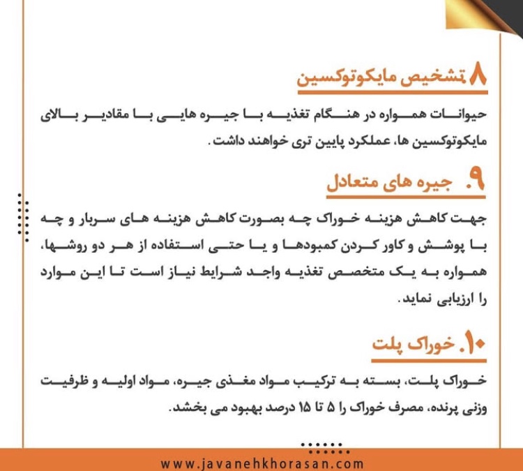 کارخانه جوانه خراسان