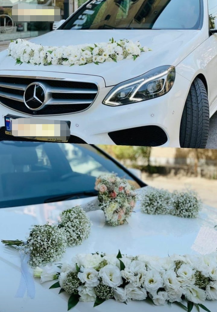 تالار و باغسرای پارمیس