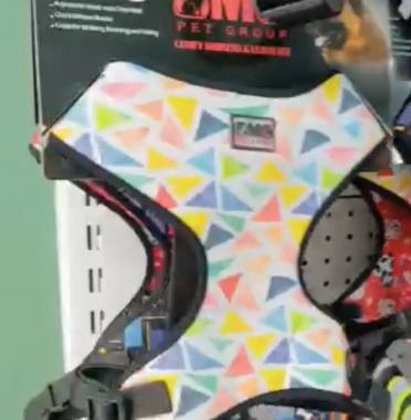 پت شاپ حامی