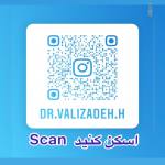 دکتر حمید ولی زاده مقدم