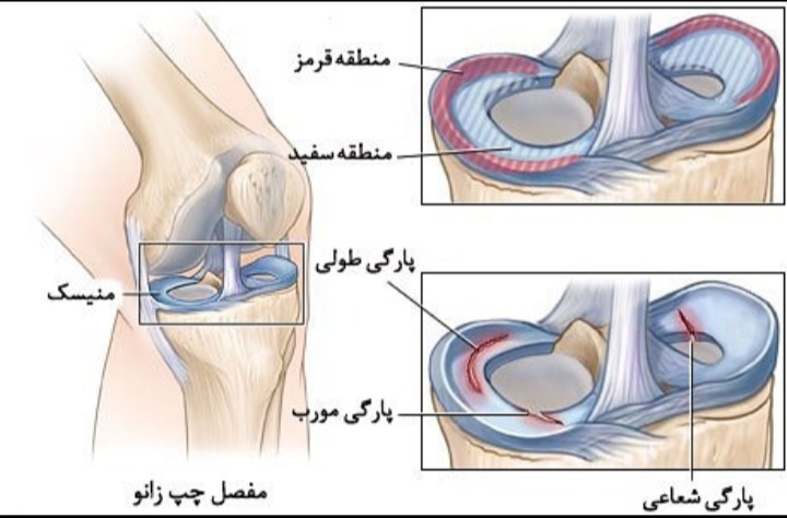 اضافه شده توسط <br> فاطمه